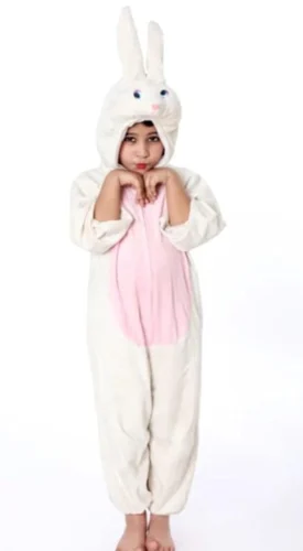 Zebbra Costume